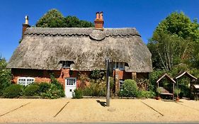 Thatched Cottage Hotel